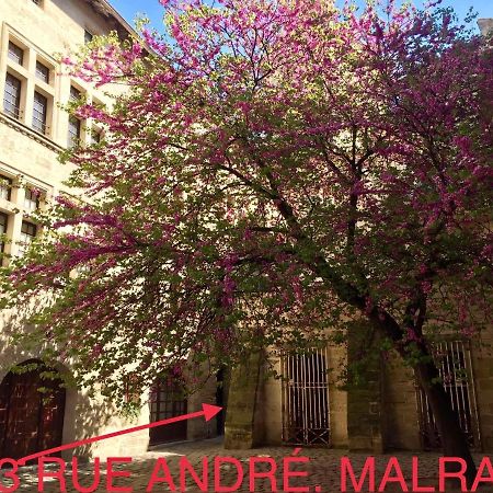 appartement a 50 m de la place aux herbes Uzès Extérieur photo